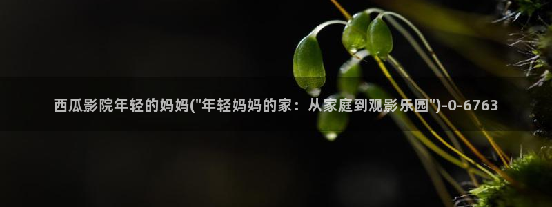 西瓜视频在线播放