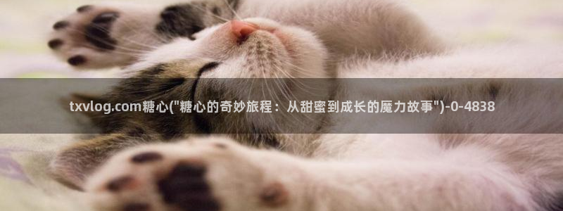 糖心少女vlog排行榜
