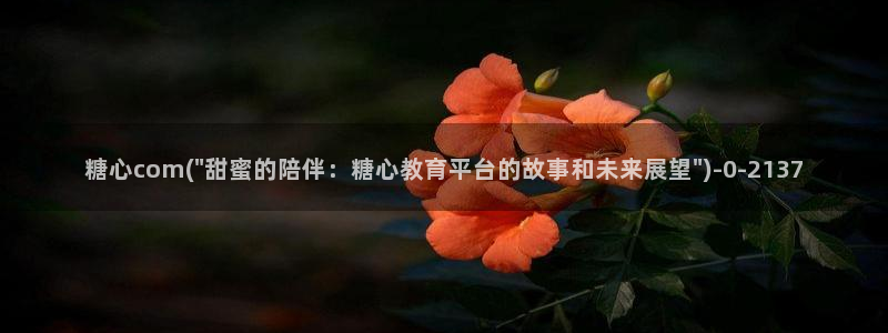 糖心vlog在