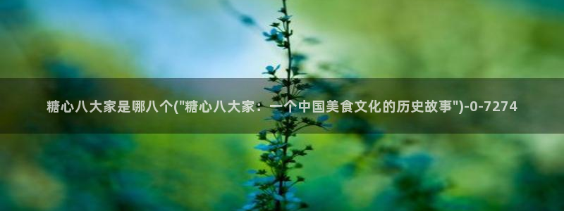 糖心视频vlog破解版下载