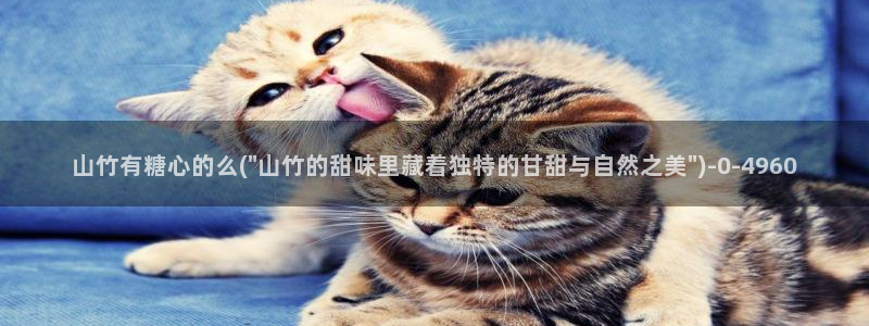 糖心vlog 网站