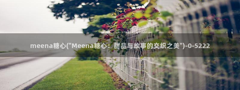 糖心vlog破解版