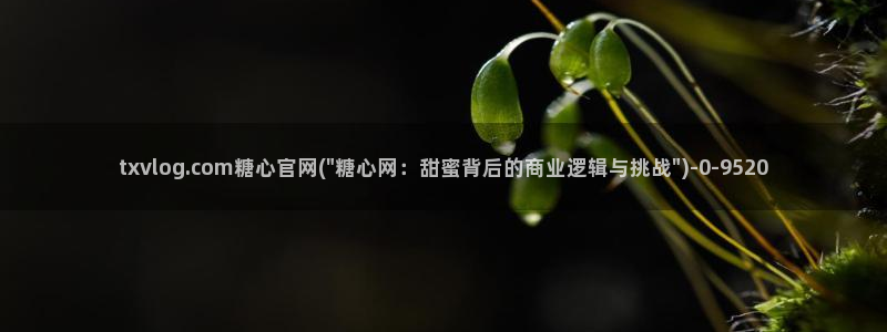 vlog糖心官网
