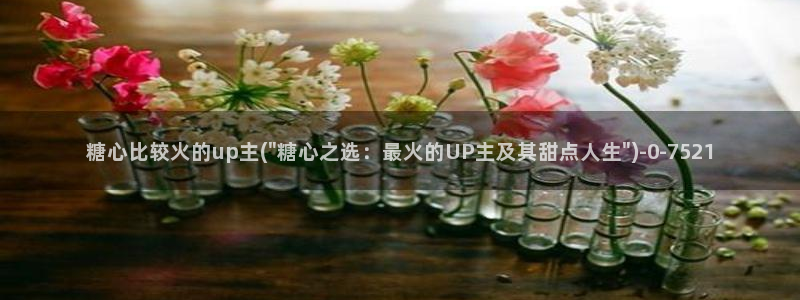 糖心vlog官网入口ios