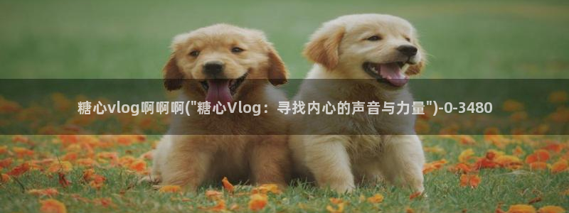 糖心动漫vlog官网观看