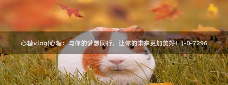 糖心vlogpro