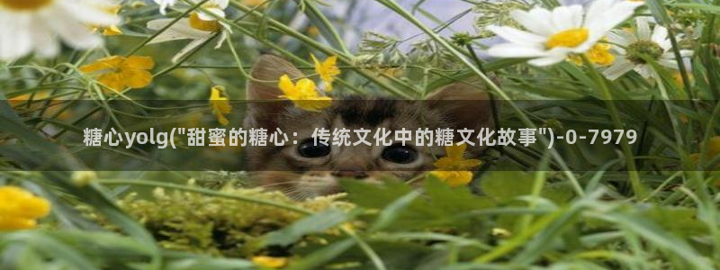 糖心 vlog破解版