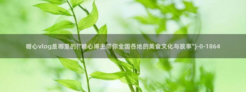 糖心vlog一区二区