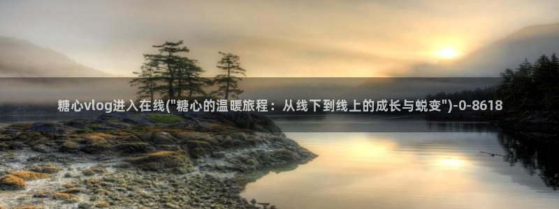 糖心vlog..