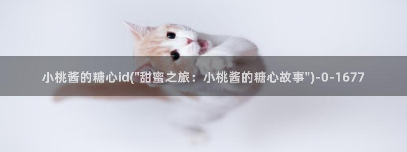 糖心vlog国产传媒入口
